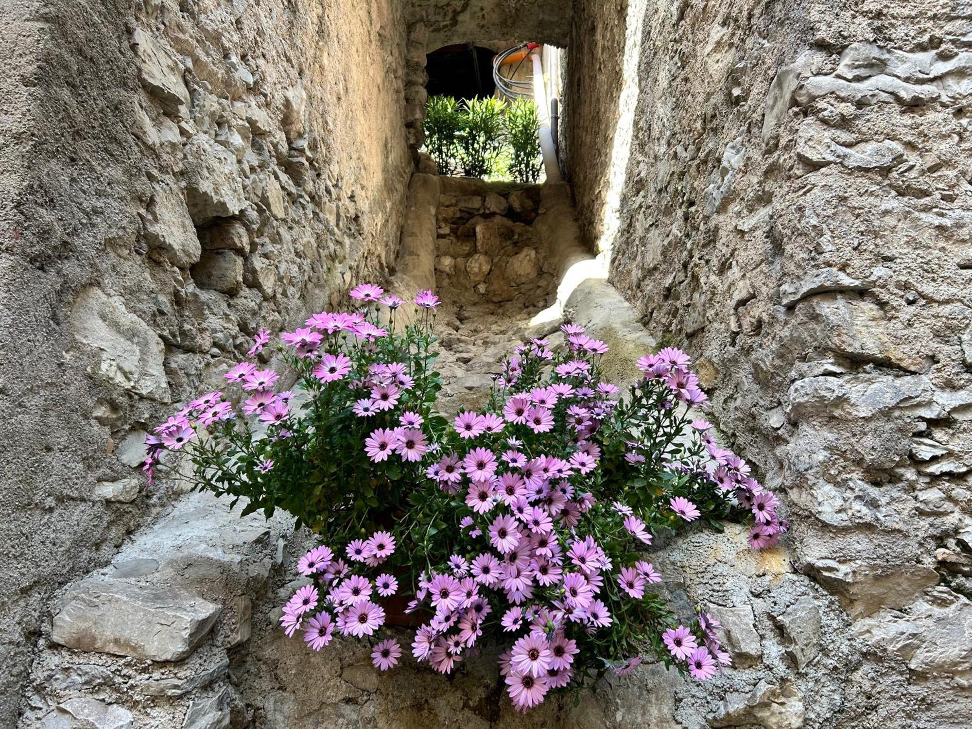 Studios Al Castello Dei Limoni Limone sul Garda Exterior photo